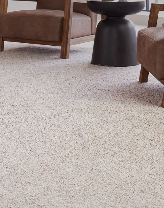 All Carpet With FREE PREMIUM installation!